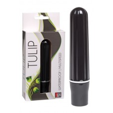 Tulip Black