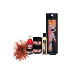Эротический набор Carnal Pleasures Collection 