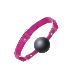 ST  Pink Ball Gag