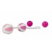 Вагинальные шарики Geisha Balls (Fun Toys)